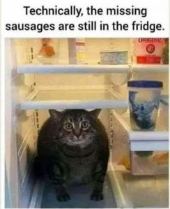 Stupid Bar Memes a2918e9a3af3209e