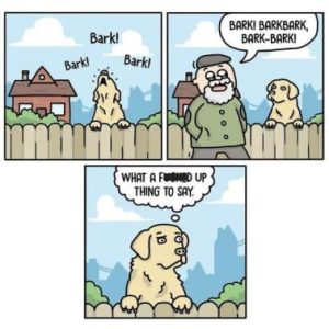 Stupid Bar Memes a32dbadf145fc1b9