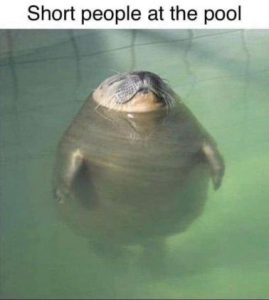 Stupid Bar Memes a4037a5db2ec6f52