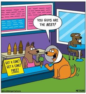 Stupid Bar Memes a5e61c97d4c7f5da