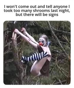 Stupid Bar Memes aBd7zqPs700b