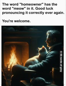 Stupid Bar Memes aPgKgNPs700b