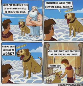 Stupid Bar Memes aQEGGwKs700b