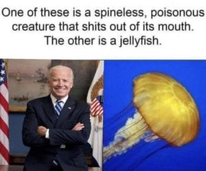 Stupid Bar Memes aa7f8d4e18fb7282