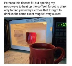 Stupid Bar Memes ab48bd0911b6f47d