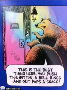 Stupid Bar Memes ac9e37513ade5893