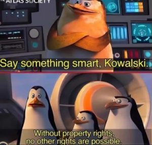 Stupid Bar Memes b36e69d6ffa666b1