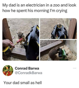 Stupid Bar Memes b6feffb8dfb91e94