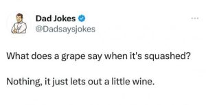 Stupid Bar Memes b72a7c00f1e7f89f