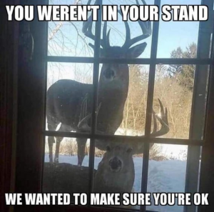 Stupid Bar Memes b77fd3cf51494c63