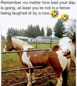 Stupid Bar Memes b8fe3e655a88f5b1