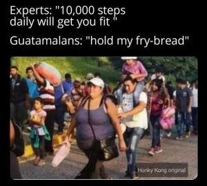 Stupid Bar Memes bb437edba068e5a6
