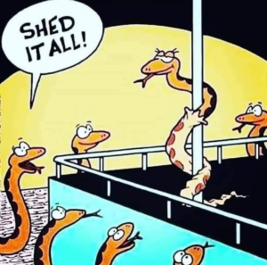 Stupid Bar Memes bd55838bc9ff2a68