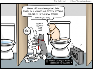 Stupid Bar Memes c35882598de11169