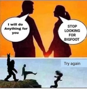 Stupid Bar Memes ca89b2a03fdbd116
