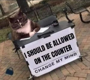 Stupid Bar Memes cb8ad429d9261606