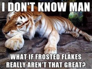 Stupid Bar Memes cd19e02458c6fbc3