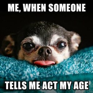 Stupid Bar Memes d00e75345ae77728