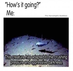 Stupid Bar Memes d02f238db7fe979b