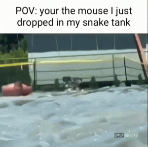 Stupid Bar Memes d0340e6b78191ce7
