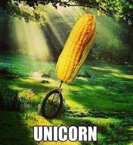 Stupid Bar Memes d4539c7cb84d7362
