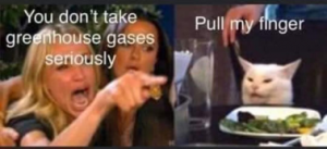 Stupid Bar Memes d591d3a2040bc243