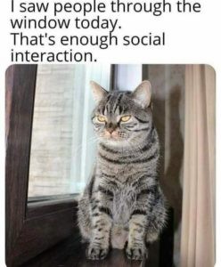 Stupid Bar Memes d60a25600ca3e8d5