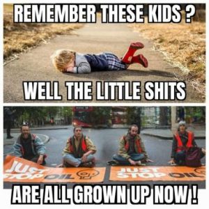 Stupid Bar Memes d61e36bbc56e27bd