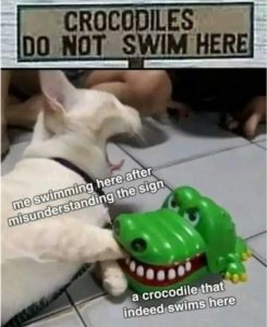 Stupid Bar Memes d6490815a2d192e9