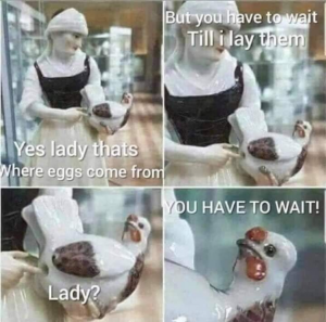 Stupid Bar Memes d75c798084c827b9