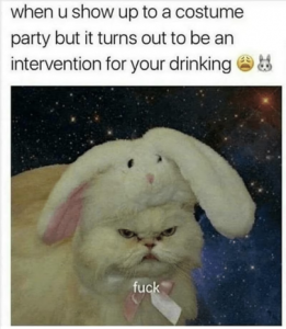 Stupid Bar Memes d77d230d126e684d