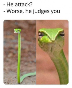 Stupid Bar Memes d8b3149cd7145c8c