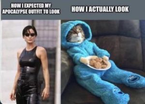 Stupid Bar Memes d969326e52b22a16