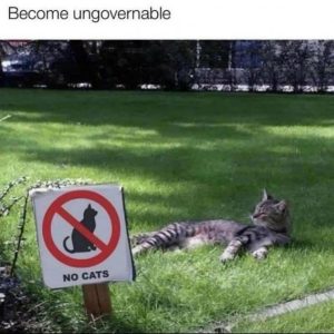 Stupid Bar Memes e29d77d4d12a6b75