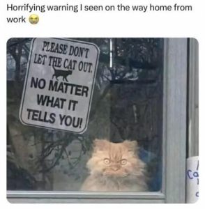 Stupid Bar Memes e2f89d6b0703d27a