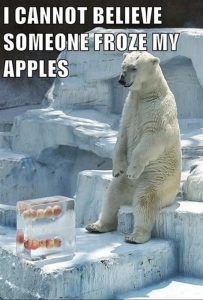 Stupid Bar Memes e57c00b613623aa0