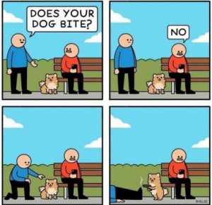 Stupid Bar Memes efc02bb9e8e32be7