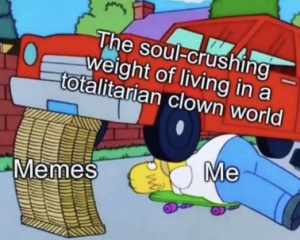 Stupid Bar Memes f2a71f582ecf19d4
