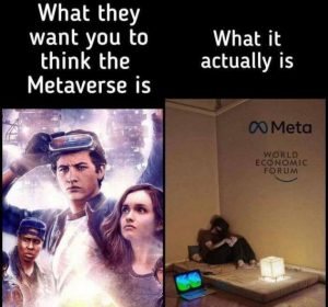 Stupid Bar Memes f52ea54b1cfa0638