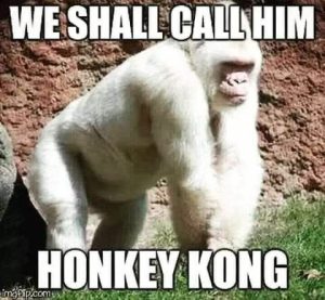 Stupid Bar Memes f6d4ec895ec2cdbf