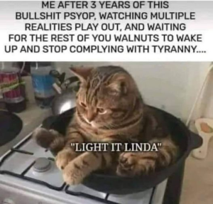 Stupid Bar Memes f99b4b9537a6a00e
