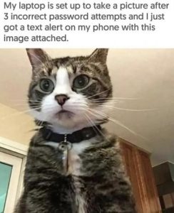 Stupid Bar Memes fb2e34610fa2f65a