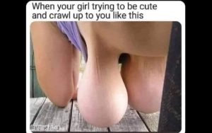 Stupid Bar Memes image000000 1