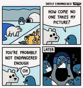 Stupid Bar Memes image000000 10