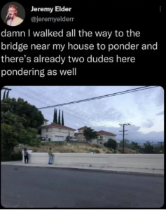 Stupid Bar Memes nfoziUE