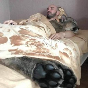 Stupid Bar Memes podborkasprikolnyxskartinoks49
