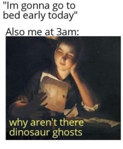 Stupid Bar Memes q6DWt5N
