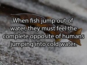 Stupid Bar Memes showersthoughtss4s1