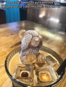 Stupid Bar Memes sspicss4573s640shighs17