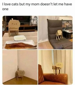 Stupid Bar Memes sspicss4584s640shighs16
